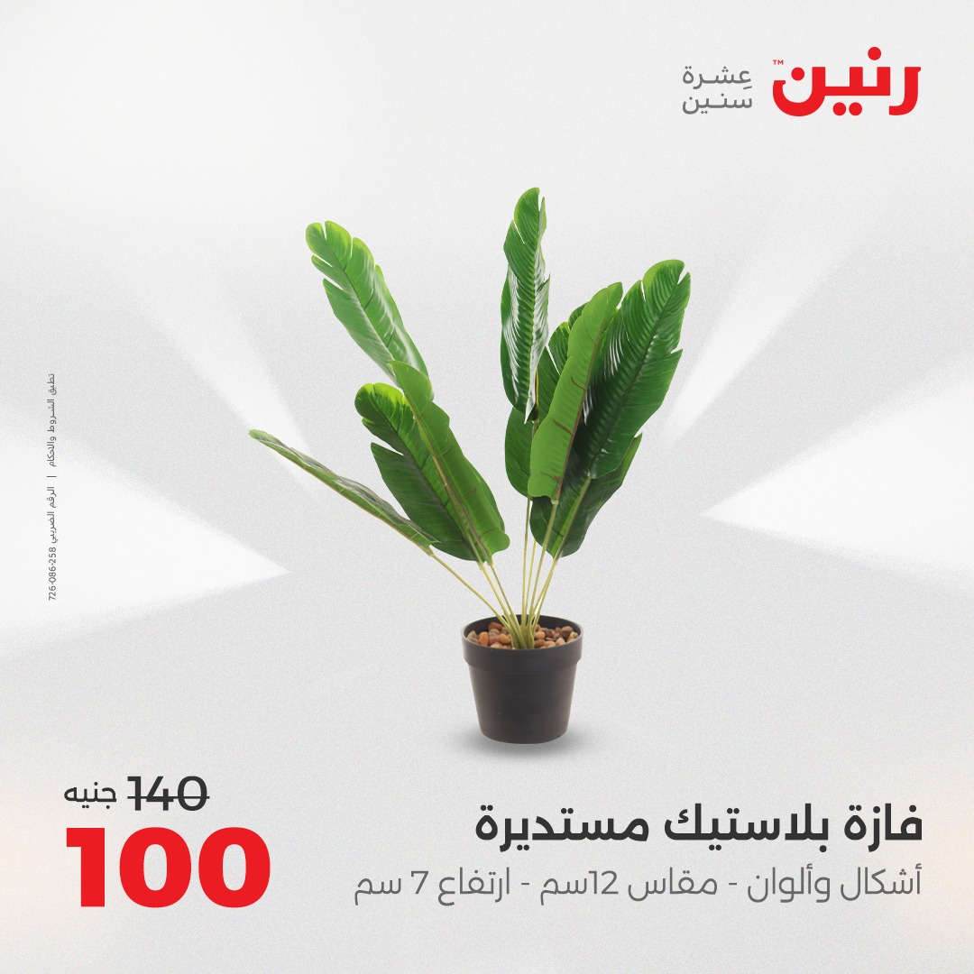 raneen offers from 26aug to 2aug 2025 عروض رنين من 26 أغسطس حتى 2 أغسطس 2025 صفحة رقم 110